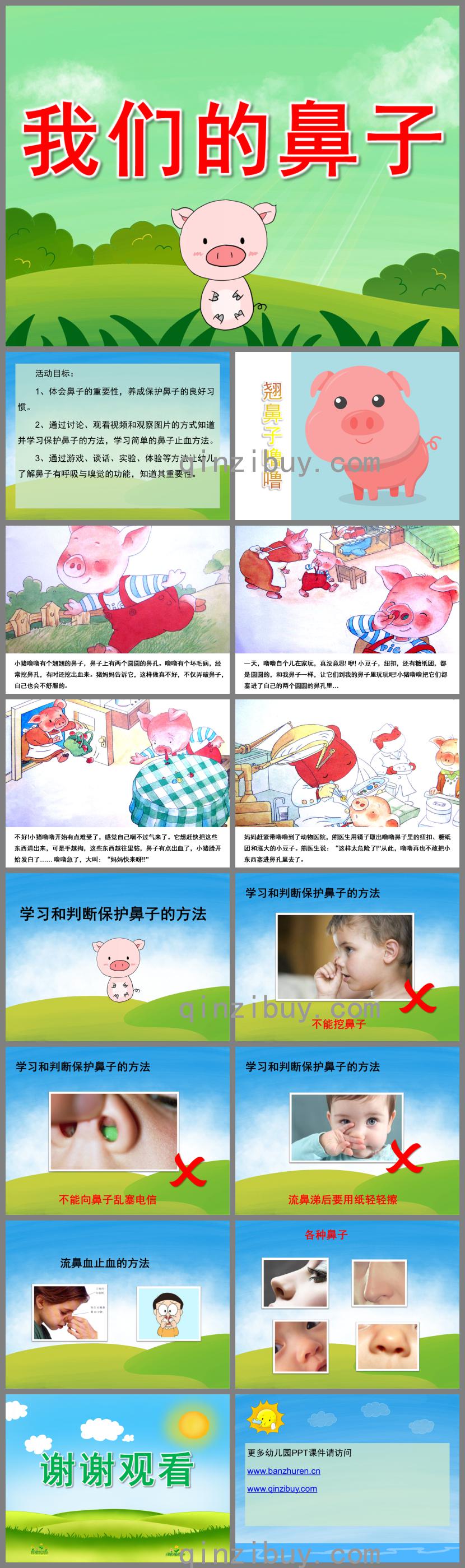 大班健康我们的鼻子PPT课件