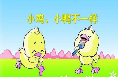 小班科学小鸡、小鸭不一样PPT课件音乐音频